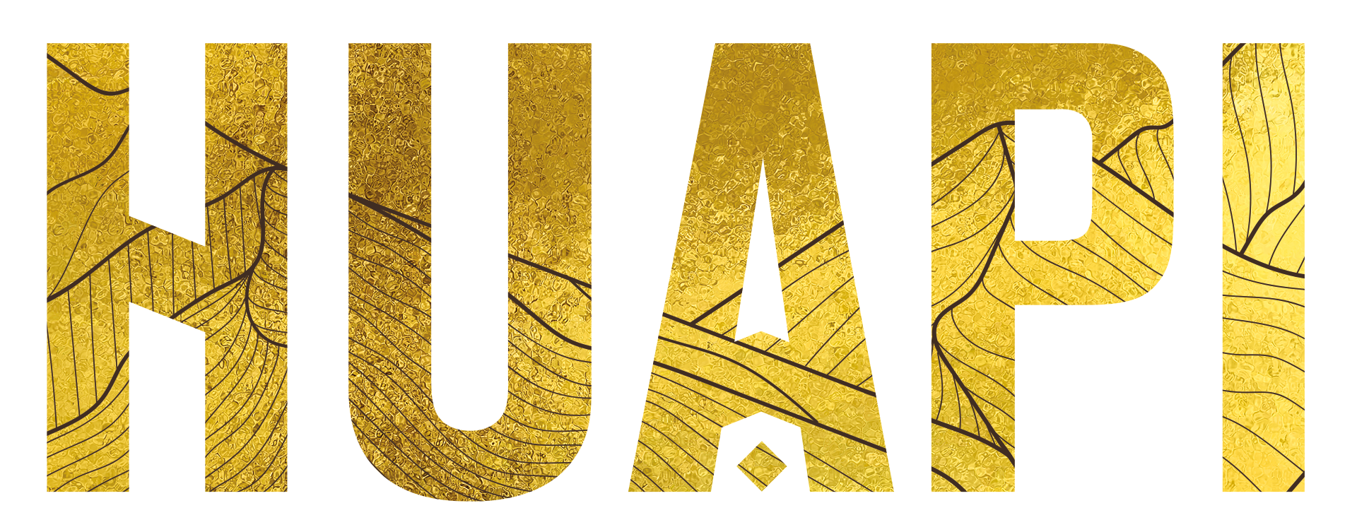 HUAPI